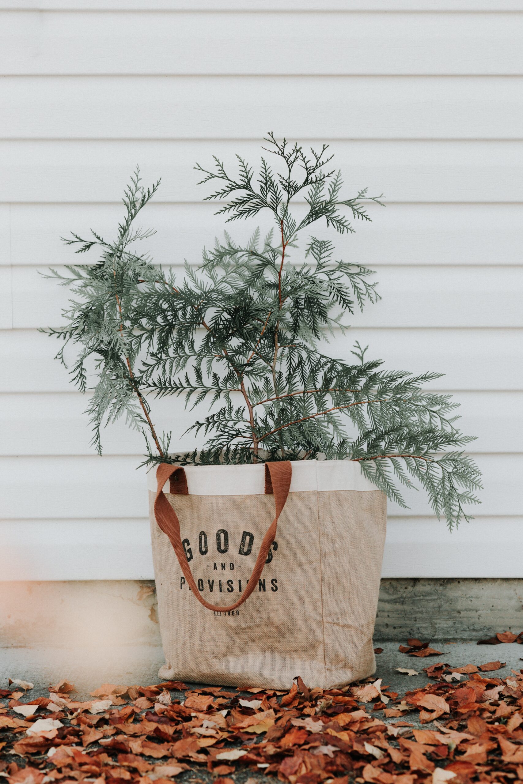 Fun Ideas to Fill Your Home with Fall Feels